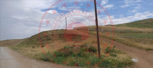 Kırıkkale Delice Kurtoğlu Köyü Milli Emlak'tan Satılık 518,87 m2 Tarla