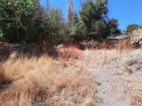 Kırşehir Akçakent Zalimali Köyü Milli Emlak'tan Satılık 771,09 m2 Tarla