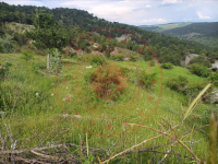 Kastamonu Tosya Çakırlar Köyü Milli Emlak'tan Satılık 6.985,05 m2 Tarla