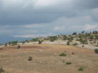 Amasya Merkez Yassıçal - Erkonaş Mahallesi Milli Emlak'tan Satılık 33.631,00 m2 Tarla