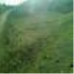 Ankara Bala Yaylalıözü Köyü Milli Emlak'tan Satılık 1.251,64 m2 Tarla