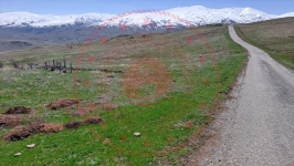 Erzincan Tercan Tepebaşı Köyü Milli Emlak'tan Satılık 721,79 m2 Tarla