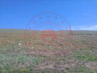 Konya Beyşehir Bayındır Köyü Milli Emlak'tan Satılık 2.178,84 m2 Arsa