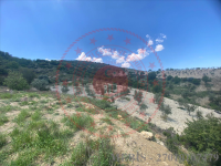 Gaziantep Şahinbey Morcalı Köyü Milli Emlak'tan Satılık 27.754,21 m2 Tarla