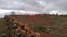 Mardin Midyat Çavuşlu - Cumhuriyet Mahallesi Milli Emlak'tan Satılık 1.740,51 m2 Tarla