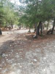 Manisa Selendi Çamlıca Mahallesi Milli Emlak'tan Satılık 4.032,67 m2 Tarla
