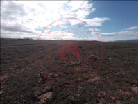 Kırıkkale Keskin Eminefendi Köyü Milli Emlak'tan Satılık 1.000,00 m2 Tarla