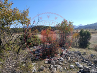 Konya Beyşehir Akçabelen Kasabası Milli Emlak'tan Satılık 3.145,51 m2 Tarla