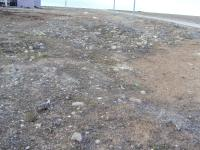 Afyonkarahisar Başmakçı Küllüce Köyü Milli Emlak'tan Satılık 801,00 m2 Arsa