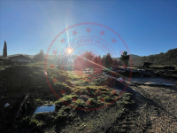 Denizli Acıpayam Akşar Köyü Milli Emlak'tan Satılık 6.463,55 m2 Tarla