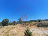 Muğla Menteşe Yaraş Köyü Milli Emlak'tan Satılık 13.590,28 m2 Tarla