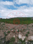 Konya Beyşehir Göçü Köyü Milli Emlak'tan Satılık 5.886,23 m2 Tarla