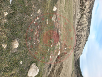 Eskişehir Alpu Büğdüz Mahallesi Milli Emlak'tan Satılık 5.676,59 m2 Tarla