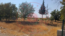 Kahramanmaraş Türkoğlu Kılılı Mahallesi Milli Emlak'tan Satılık 821,52 m2 Tarla