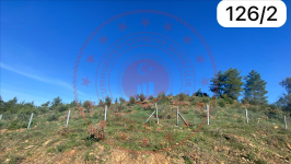 Muğla Ula Esentepe Köyü Milli Emlak'tan Satılık 6.913,00 m2 Tarla