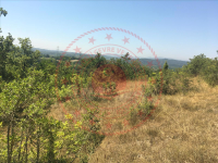 Bartın Merkez Arıönü Köyü Milli Emlak'tan Satılık 2.111,66 m2 Tarla