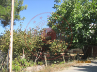 Samsun Bafra Bakırpınarı Köyü Milli Emlak'tan Satılık 339,32 m2 Arsa