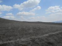 Niğde Merkez Yaylayolu Köyü Milli Emlak'tan Satılık 4.400,00 m2 Tarla