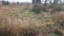 Konya Kadınhanı Kamışlıöz Köyü Milli Emlak'tan Satılık 1.264,00 m2 Tarla