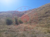 Sivas Merkez Ağcaeniş Köyü Milli Emlak'tan Satılık 1.632,64 m2 Tarla