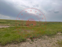 Kayseri Tomarza İncili Mahallesi Milli Emlak'tan Satılık 7.419,39 m2 Tarla