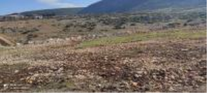 Kahramanmaraş Pazarcık Çöçelli Mahallesi Milli Emlak'tan Satılık 1.544,30 m2 Arsa