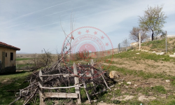 Çorum Merkez Dut Köyü Milli Emlak'tan Satılık 428,88 m2 Tarla