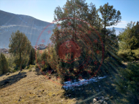 Bursa Keles Gelemiç Mahallesi Milli Emlak'tan Satılık 3.331,33 m2 Tarla