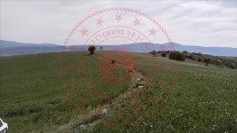 Çorum Merkez Çalıca Köyü Milli Emlak'tan Satılık 18.992,57 m2 Tarla