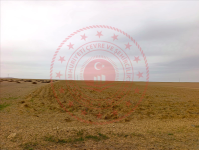 Nevşehir Gülşehir Fakıuşağı Köyü Milli Emlak'tan Satılık 15.002,11 m2 Tarla
