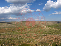 Mardin Midyat Gülgöze Köyü Milli Emlak'tan Satılık 124.226,85 m2 Tarla