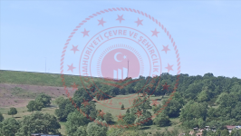 Kocaeli Gebze Denizli Köyü Milli Emlak'tan Satılık 3.050,01 m2 Tarla