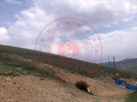 Malatya Kuluncak Göğebakan Köyü Milli Emlak'tan Satılık 7.713,04 m2 Tarla