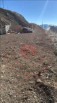 Erzurum Tortum Derinpınar Köyü Milli Emlak'tan Satılık 1.851,08 m2 Tarla