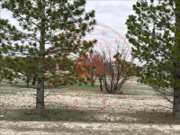 Konya Karapınar Taşpınar Köyü Milli Emlak'tan Satılık 1.200,38 m2 Tarla