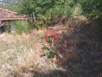 Tokat Erbaa Karayaka Köyü Milli Emlak'tan Satılık 108,00 m2 Tarla