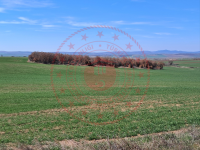 Edirne Merkez İğnesi Köyü Milli Emlak'tan Satılık 25.522,66 m2 Tarla