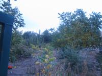 Ankara Evren Solakuşağı Köyü Milli Emlak'tan Satılık 217,02 m2 Tarla