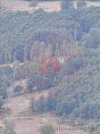 Tokat Merkez Yağmurlu Köyü Milli Emlak'tan Satılık 787,69 m2 Tarla