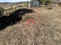 Erzincan Refahiye Akçiğdem Köyü Milli Emlak'tan Satılık 1.163,03 m2 Tarla