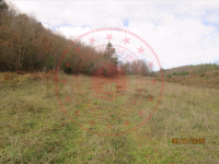 Samsun Bafra Dereler Köyü Milli Emlak'tan Satılık 2.548,79 m2 Tarla