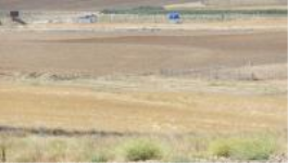 Ankara Gölbaşı Taşpınar Mahallesi Milli Emlak'tan Satılık 1.640,00 m2 Tarla