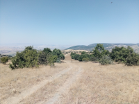 Çorum Merkez Küçük Gülücek Köyü Milli Emlak'tan Satılık 9.200,00 m2 Tarla