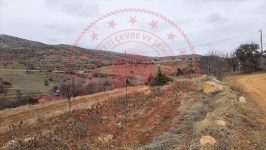 Malatya Hekimhan Salıcık Köyü Milli Emlak'tan Satılık 2.747,62 m2 Tarla