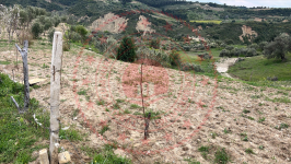 Manisa Şehzadeler S. Çeşmebaşı Mahallesi Milli Emlak'tan Satılık 787,07 m2 Tarla