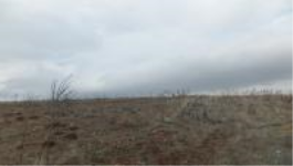 Ankara Gölbaşı Altınçanak Köyü Milli Emlak'tan Satılık 1.393,68 m2 Tarla