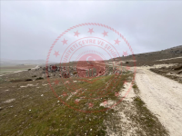 Afyonkarahisar Sinanpaşa Eyice Köyü Milli Emlak'tan Satılık 1.830,23 m2 Tarla