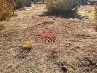 Bingöl Genç Meşedalı Köyü Milli Emlak'tan Satılık 1.300,00 m2 Tarla