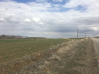 Kırşehir Merkez Yukarı Homurlu Köyü Milli Emlak'tan Satılık 6.468,77 m2 Tarla