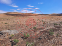 Kırşehir Akçakent Avanoğlu Köyü Milli Emlak'tan Satılık 5.387,51 m2 Tarla